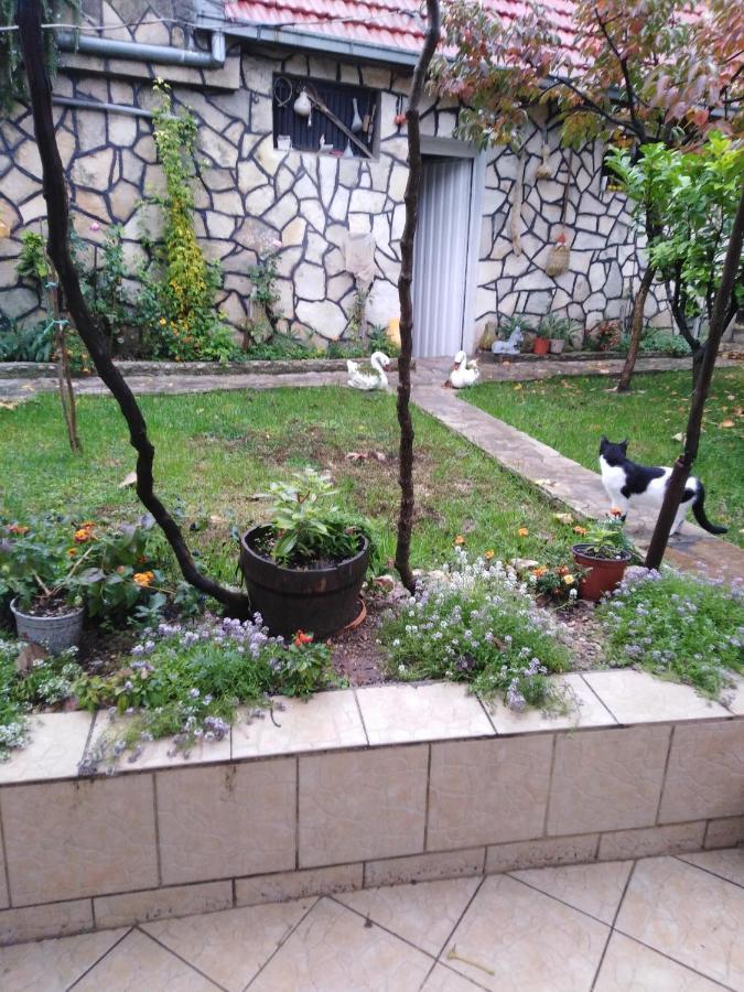 דירות Stolac Janina Hisa מראה חיצוני תמונה